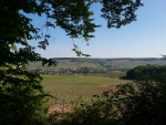 Moussy vue de la forêt